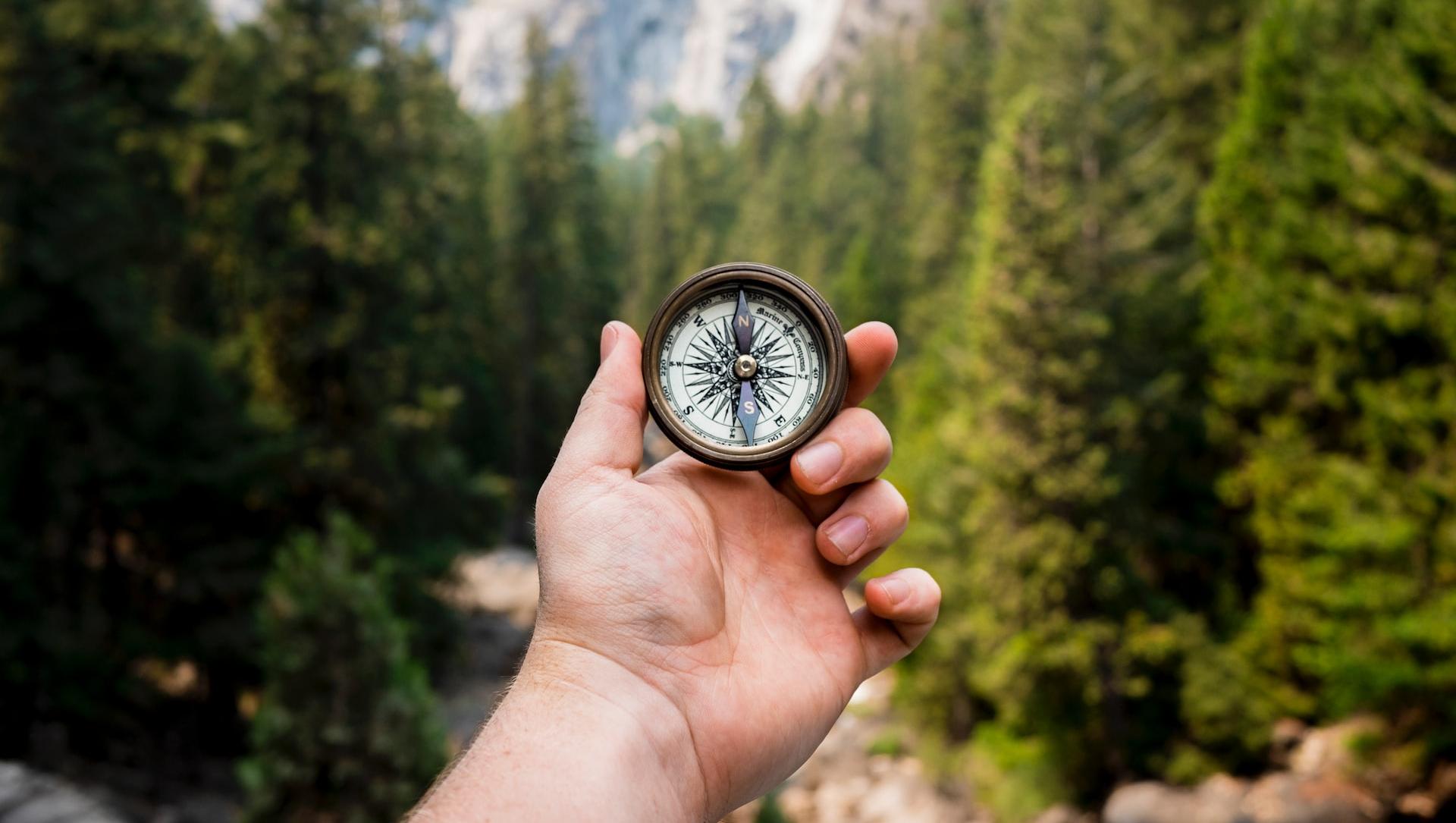 person holding compass facing towards green pine trees