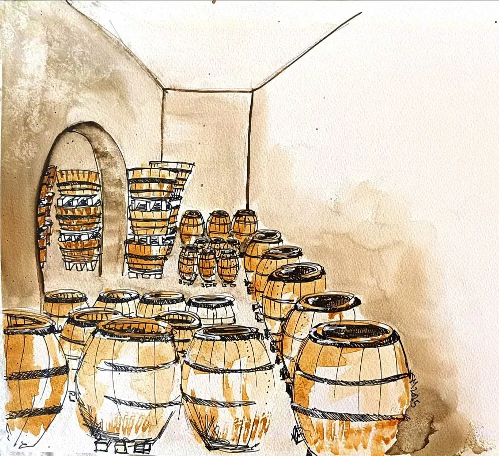 La Sala delle Botti - L&#39;idea d&#39;esordio
