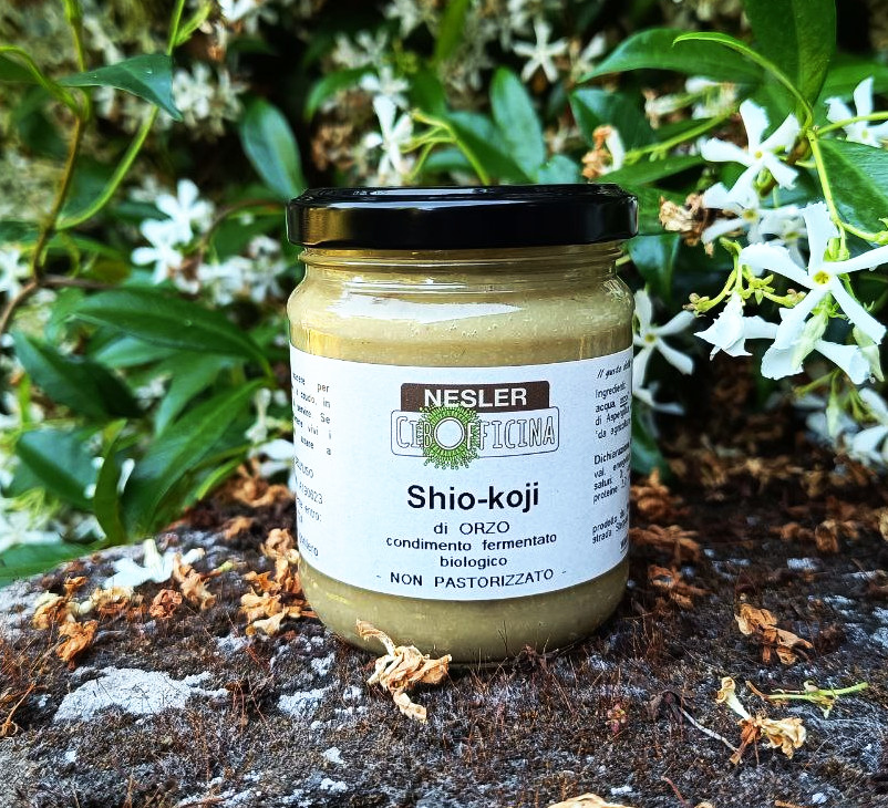 Shio-Koji di Orzo BIO 190 g