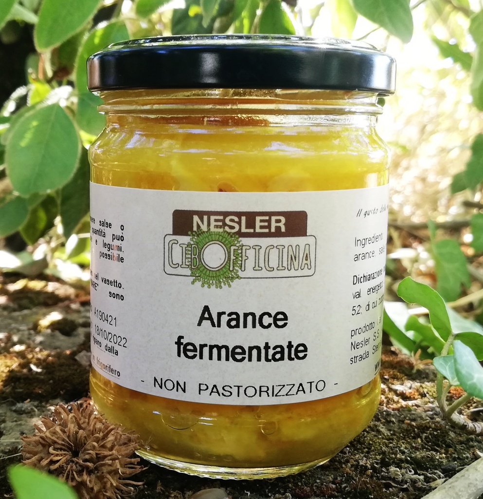 Arancia fermentata biologica 180g