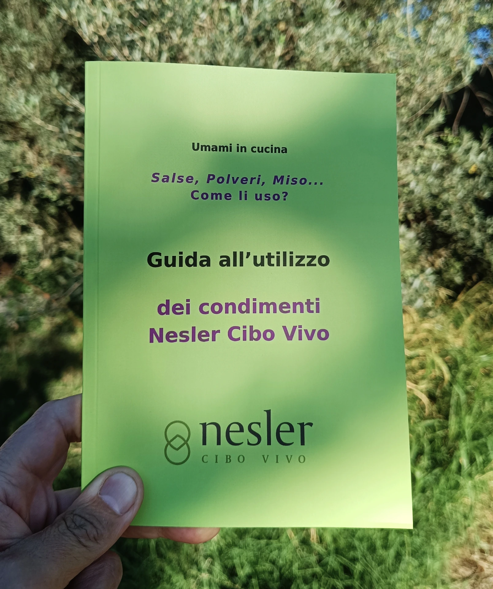 Guida all'utilizzo dei condimenti Nesler Cibo Vivo
