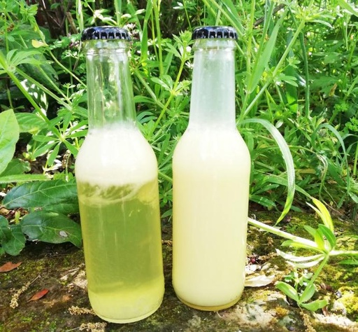 [SLIF] Succo fermentato di Limone 180g